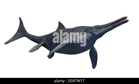 Ichthyosaur, ausgestorbenes marines Reptil von der frühen Trias bis zur späten Kreidezeit, isoliert auf weißem Hintergrund, 3d-Paläoart-Darstellung Stockfoto