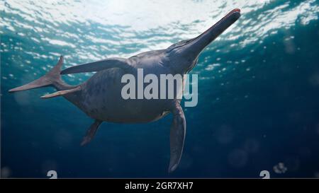 Ichthyosaur, Stenopterygius quadriscissus schwimmen im Ozean, ausgestorbenes marines Reptil von der frühen Trias- bis zur späten Kreidezeit, 3d-Darstellung der Wissenschaft Stockfoto