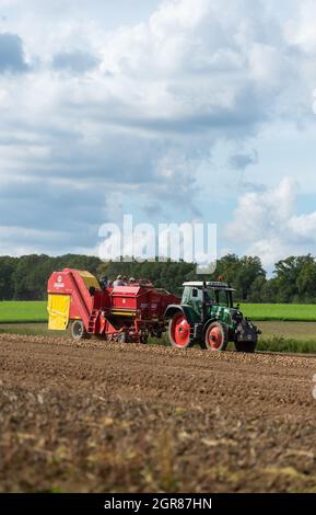 Oldendorf Ii, Deutschland. September 2021. Ein Landwirt erntet Kartoffeln auf einem Feld mit einem Mähdrescher. Quelle: Philipp Schulze/dpa/Alamy Live News Stockfoto