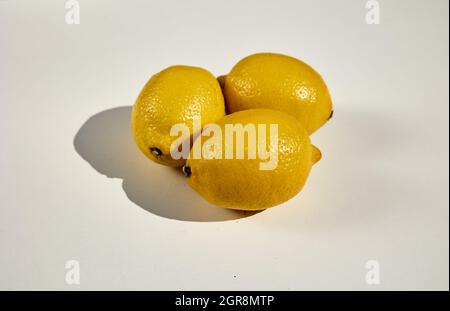 Portret von drei Zitronen isoliert auf weiß Stockfoto