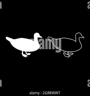 Ente männliche Stockente Vogel Wasservögel Wasservögel Geflügel Geflügel Canard Silhouette weiß Farbe Vektor Illustration solide Kontur Stil Bild Stock Vektor