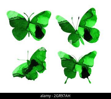 Aquarell-Illustrationen von schönen grünen Silhouetten von Schmetterlingen. Insektenfallen. Aquarell-Blots, Schmetterlinge. Isoliert auf Weiß. Von Hand gezeichnet. Stockfoto
