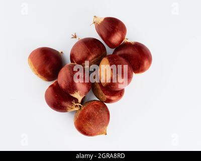 Haufen von Rosskastanienkernen isoliert auf weißem Hintergrund Stockfoto
