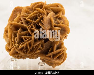 Wüstenrose, mineralisch im Vordergrund Stockfoto