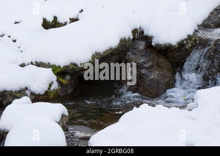 Flusswasser im Schnee in den Bergen Georgiens Stockfoto