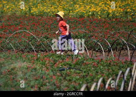 Hefei, Chinas Provinz Anhui. Oktober 2021. Ein Kind genießt Freizeit in einem Park in Hefei, der ostchinesischen Provinz Anhui, 1. Oktober 2021. Quelle: Zhang Duan/Xinhua/Alamy Live News Stockfoto