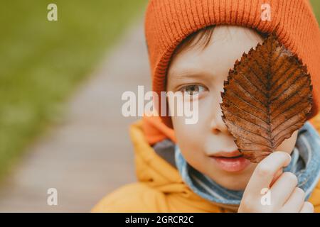 Junge mit einem verwelkten Blatt auf seinem Gesicht im Herbst. Herbstthema. Ein getrocknetes Herbstblatt in den Händen eines Jungen. Trauriges Thema. Junge in einem roten Hut und gelben Jack Stockfoto