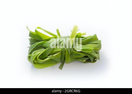 Ein grünes Gras gesammelt und vorbereitet, isoliert auf weißem Hintergrund Stockfoto