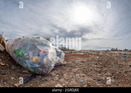 Plastikflaschen, die auf einer Deponie in Grahamstown/Makhanda, Südafrika, zum Recycling gesammelt wurden, 05. Juni 2019. Stockfoto