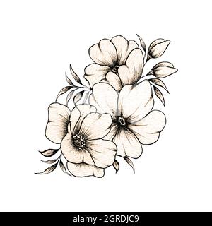 Vintage Blumenstrauß, handgezeichnete botanische Illustration mit Linienkunst Blumen, schwarze Tinte Skizze Blumen groß für Tattoo, Einladungen, Grußkarte Stockfoto