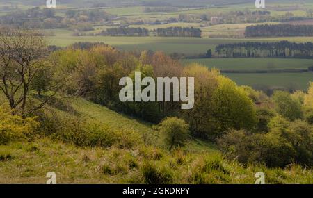 Frühlingslandschaft auf lincolnshire woolds Stockfoto