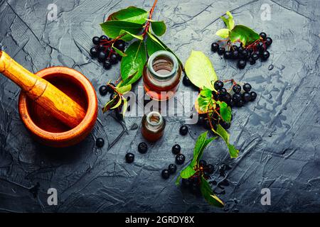 Trauben von frischer Apfelbeere. Kräutermedizin und Homöopathie Stockfoto