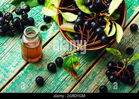 Trauben von frischer Apfelbeere.Aronia melanocarpa.Kräutermedizin und Homöopathie Stockfoto