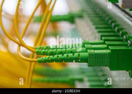 Optischer Verteilungsrahmen mit Glasfaser-Patchkabel im passiven Netzwerk Stockfoto