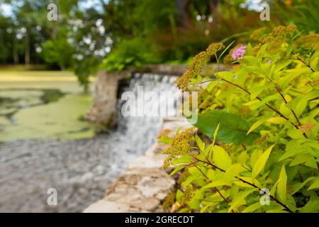 Ein schöner Wasserfall im Park Stockfoto