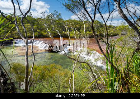 Fruit bat Falls am Eliot Creek, ein beliebter Touristenstopp und ein Schwimmloch auf der Cape York Peninsula Stockfoto