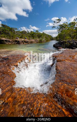 Blick auf den Bach von den Fruit bat Falls auf Eliot Creek, einem beliebten Touristenstopp und Schwimmloch auf der Cape York Peninsula Stockfoto