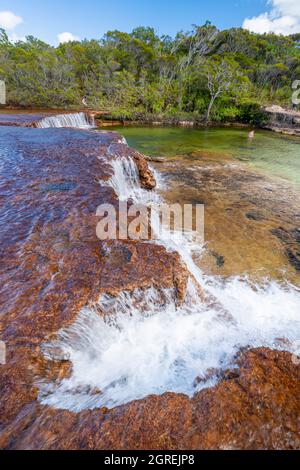 Blick auf den Bach von den Fruit bat Falls auf Eliot Creek, einem beliebten Touristenstopp und Schwimmloch auf der Cape York Peninsula Stockfoto