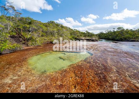 Flaches Felsregal und Tauchbecken auf der flussaufwärts gelegenen Seite der Fruit bat Falls, Eliot Creek, Jardine River National Park, Cape York Peninsula, Queensland Stockfoto