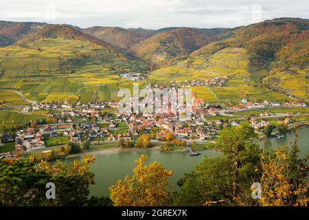 Weissenkirchen Wachau Österreich im Herbst färbte Blätter und Weinberge auf Ein nebliger Tag Stockfoto