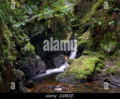 Langzeitbelichtung eines Wasserfalls im Puck's Glen im Argyll Forest Park, Schottland. Stockfoto