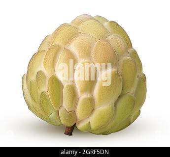 Zucker-Apfel, Frucht von Annona squamosa cherimoya isoliert auf weißem Hintergrund. Beschneidungspfad. Volle Schärfentiefe. Stockfoto