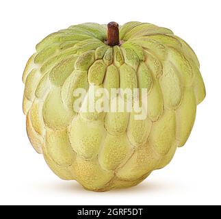 Zucker-Apfel, Frucht von Annona squamosa cherimoya isoliert auf weißem Hintergrund. Beschneidungspfad. Volle Schärfentiefe. Stockfoto