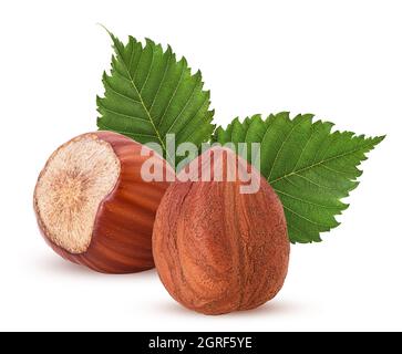 Geschält und eine in Schale Haselnuss mit Blatt. Frischer organischer Filbert isoliert auf weißem Hintergrund. Beschneidungspfad. Volle Schärfentiefe. Stockfoto