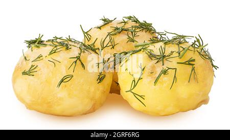 Drei junge gekochte Kartoffeln in Dill isoliert auf weißem Hintergrund. Beschneidungspfad. Volle Schärfentiefe. Stockfoto