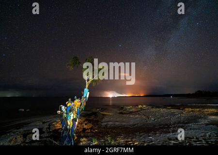 Thong Tree on Beach at Alau Beach Campground at Night Under, Alau Beach Campground, Umagico, Cape York Peninsula, North Queensland Stockfoto