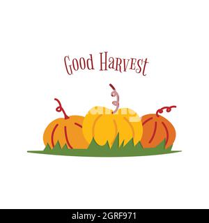 Kürbisse mit Aufschrift gute Ernte. Bunte Vektor isolierte handgezeichnete Illustration. Erntezeit. Drei reife Kürbisse liegen auf dem Gras. Fal Stock Vektor