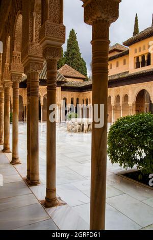 Patio der Löwen in der Alhambra in Granada in Spanien Stockfoto