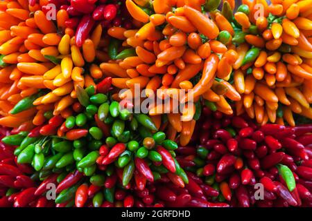 Frische rote, grüne und gelbe Chili-Paprika am Marktstand. Farbenfroher Hintergrund Stockfoto