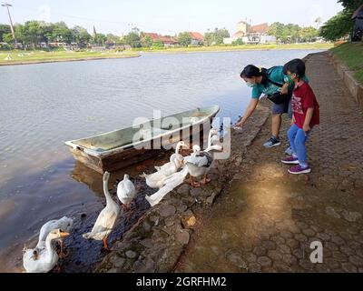 Photo Editorial, 26. September 2021, East Jakarta, Indonesien, Kinder und ihre Mutter füttern Ente am Künstlichen See Stockfoto