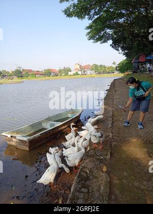 Photo Editorial, 26. September 2021, East Jakarta, Indonesien, Kinder und ihre Mutter füttern Ente am Künstlichen See Stockfoto