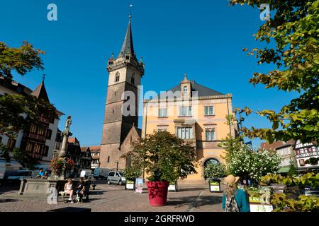 Frankreich, Bas Rhin, Obernai, Place du Marche, Rathaus, Sainte Odile Brunnen, Feldbraten Stockfoto