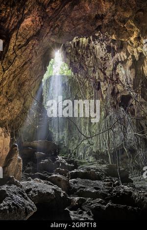 Indonesien, Papua, Biak Island, Goa Jepang, die Japanische Höhle diente als Basis und Versteck für japanische Soldaten während des Zweiten Weltkriegs 1944 starben dort 3000 Japaner, als das US-Militär oben in die Höhle ein Loch bohrte, Öl eintropfte und sie dann bombardierte. Stockfoto