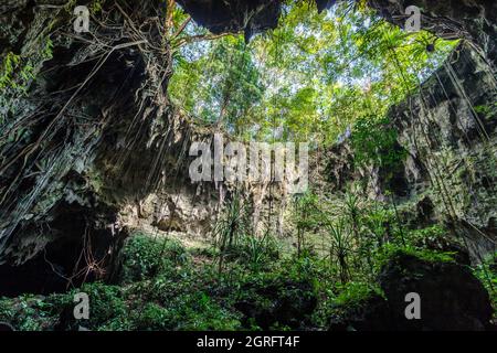 Indonesien, Papua, Biak Island, Goa Jepang, die Japanische Höhle diente als Basis und Versteck für japanische Soldaten während des Zweiten Weltkriegs 1944 starben dort 3000 Japaner, als das US-Militär oben in die Höhle ein Loch bohrte, Öl eintropfte und sie dann bombardierte. Stockfoto