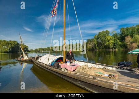 Frankreich, Indre et Loire, Loire-Tal, das von der UNESCO zum Weltkulturerbe erklärt wurde, Noizay, Le Grand Retournement, Flottille traditioneller Boote, die die Loire von Montjean nach Orléans hinauffahren, Segler von Anjou, Touraine, Blésois und Orléanais zum ersten Mal im Konvoi die Loire hinauffahren, Sie stammen von Charpentier aus dem Nièvre Jean-Marc Benoît, der unter dem Namen Bibi berühmt ist Stockfoto