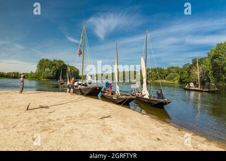 Frankreich, Indre et Loire, Loire-Tal, das von der UNESCO zum Weltkulturerbe erklärt wurde, Noizay, Le Grand Retournement, Flottille traditioneller Boote, die die Loire von Montjean nach Orléans hinauffahren, Segler von Anjou, Touraine, Blésois und Orléanais zum ersten Mal im Konvoi die Loire hinauffahren, Sie stammen von Charpentier aus dem Nièvre Jean-Marc Benoît, der unter dem Namen Bibi berühmt ist Stockfoto