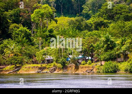 Frankreich, Französisch-Guayana, Parc Amazonien de Guyane, Camopi, Teil des indianischen Dorfes Wayãpi, am Ufer des Flusses Camopi Stockfoto