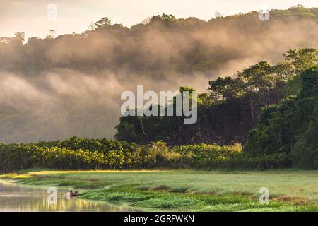 Frankreich, Französisch-Guayana, Kaw Sümpfe bei Sonnenaufgang Stockfoto