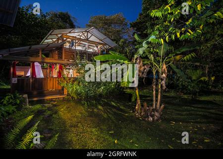 Frankreich, Französisch-Guayana, Saül, Parc Amazonien de Guyane, Relais du Fromager, ungewöhnliche Unterkunft, in einer sternenklaren Nacht Stockfoto