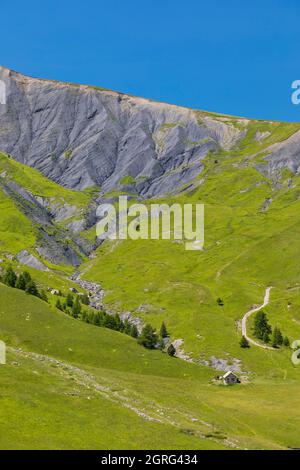 Frankreich, Alpes de Haute Provence, Ubaye-Tal, umgebende Landstraße zum Bonnette-Pass Stockfoto