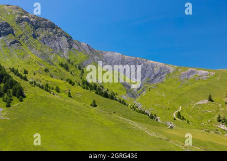 Frankreich, Alpes de Haute Provence, Ubaye-Tal, umgebende Landstraße zum Bonnette-Pass Stockfoto