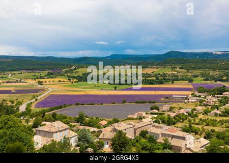 Frankreich, Alpes de Haute Provence, Simiane la Rotonde, Blick auf das Dorf und die Ebene von der Burg Stockfoto