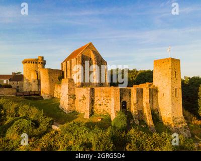 Frankreich, Yvelines, Regionalpark des Haute Vallee de Chevreuse, Chevreuse, Schloss Madeleine (Luftaufnahme) Stockfoto