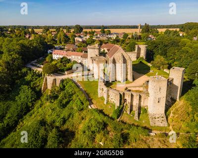 Frankreich, Yvelines, Regionalpark des Haute Vallee de Chevreuse, Chevreuse, Schloss Madeleine (Luftaufnahme) Stockfoto