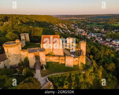 Frankreich, Yvelines, Regionalpark des Haute Vallee de Chevreuse, Chevreuse, Schloss Madeleine (Luftaufnahme) Stockfoto