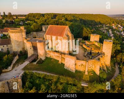 Frankreich, Yvelines, Regionalpark des Haute Vallee de Chevreuse, Chevreuse, Schloss Madeleine (Luftaufnahme) Stockfoto